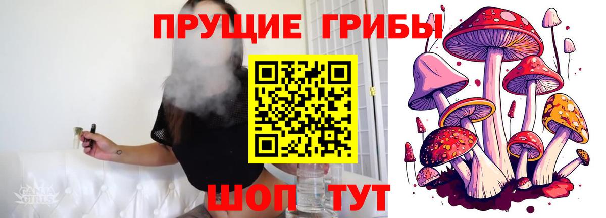 Галлюциногенные грибы мицелий  Галлюциногенные грибы Cubensis  Вход с VPN  Нерюнгри 